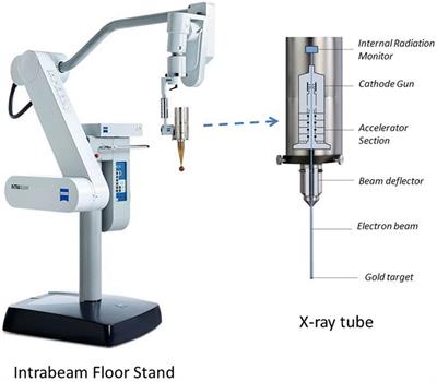 Intraoperative Radiotherapy With INTRABEAM: Technical and Dosimetric Considerations